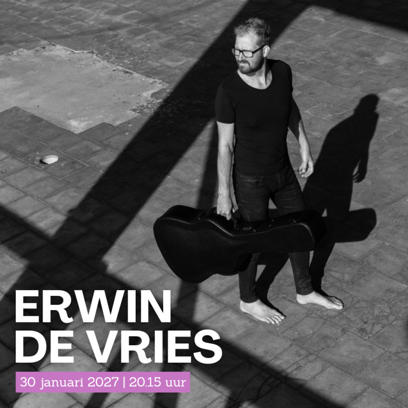 Erwin de Vries